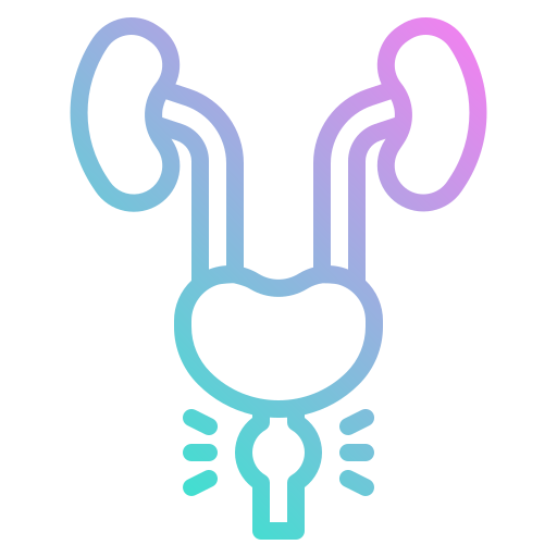 Genito-urinary cancer icon